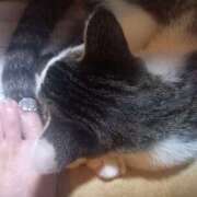 ヒメ日記 2025/08/04 05:55 投稿 篠原 MadameRest(マダムレスト)