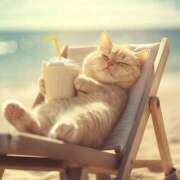 ヒメ日記 2025/08/04 07:26 投稿 篠原 MadameRest(マダムレスト)