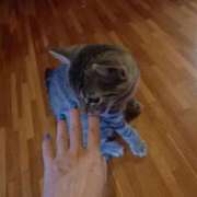 ヒメ日記 2025/08/05 04:11 投稿 篠原 MadameRest(マダムレスト)