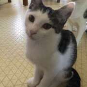 ヒメ日記 2025/08/06 05:39 投稿 篠原 MadameRest(マダムレスト)