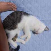 ヒメ日記 2025/08/06 12:54 投稿 篠原 MadameRest(マダムレスト)