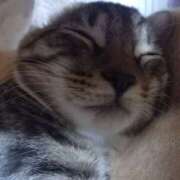 ヒメ日記 2025/08/07 10:20 投稿 篠原 MadameRest(マダムレスト)