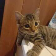 ヒメ日記 2025/08/09 04:45 投稿 篠原 MadameRest(マダムレスト)