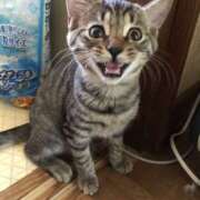 ヒメ日記 2025/08/09 07:05 投稿 篠原 MadameRest(マダムレスト)