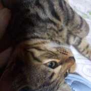 ヒメ日記 2025/08/09 12:51 投稿 篠原 MadameRest(マダムレスト)