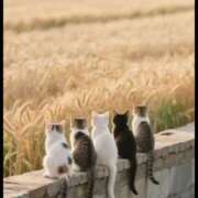 ヒメ日記 2025/08/09 15:53 投稿 篠原 MadameRest(マダムレスト)