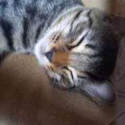 ヒメ日記 2025/08/10 07:58 投稿 篠原 MadameRest(マダムレスト)