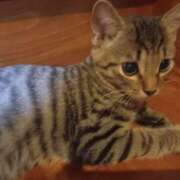 ヒメ日記 2025/08/11 05:09 投稿 篠原 MadameRest(マダムレスト)