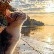 ヒメ日記 2025/08/11 17:57 投稿 篠原 MadameRest(マダムレスト)