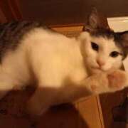 ヒメ日記 2025/08/12 05:13 投稿 篠原 MadameRest(マダムレスト)