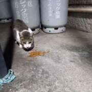 ヒメ日記 2025/08/13 04:38 投稿 篠原 MadameRest(マダムレスト)