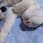 ヒメ日記 2025/08/13 12:53 投稿 篠原 MadameRest(マダムレスト)