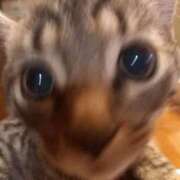 ヒメ日記 2025/08/14 05:28 投稿 篠原 MadameRest(マダムレスト)