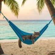 ヒメ日記 2025/08/15 13:50 投稿 篠原 MadameRest(マダムレスト)