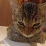 ヒメ日記 2025/08/15 23:04 投稿 篠原 MadameRest(マダムレスト)