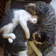 ヒメ日記 2025/08/16 12:35 投稿 篠原 MadameRest(マダムレスト)