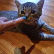 ヒメ日記 2025/08/17 04:34 投稿 篠原 MadameRest(マダムレスト)