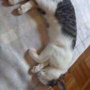 ヒメ日記 2025/08/17 07:06 投稿 篠原 MadameRest(マダムレスト)