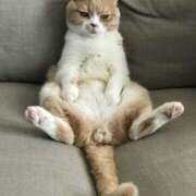 ヒメ日記 2025/08/17 12:31 投稿 篠原 MadameRest(マダムレスト)