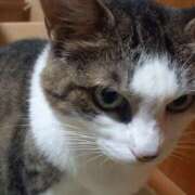 ヒメ日記 2025/08/18 04:19 投稿 篠原 MadameRest(マダムレスト)