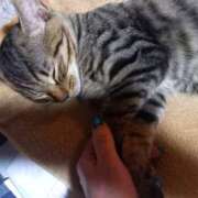 ヒメ日記 2025/08/18 07:22 投稿 篠原 MadameRest(マダムレスト)