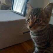 ヒメ日記 2025/08/18 12:49 投稿 篠原 MadameRest(マダムレスト)