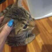 ヒメ日記 2025/08/19 04:51 投稿 篠原 MadameRest(マダムレスト)