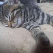 ヒメ日記 2025/08/19 06:55 投稿 篠原 MadameRest(マダムレスト)