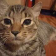 ヒメ日記 2025/08/21 04:08 投稿 篠原 MadameRest(マダムレスト)