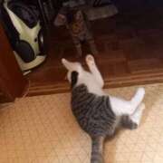 ヒメ日記 2025/08/21 07:14 投稿 篠原 MadameRest(マダムレスト)