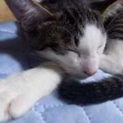 ヒメ日記 2025/08/21 12:38 投稿 篠原 MadameRest(マダムレスト)