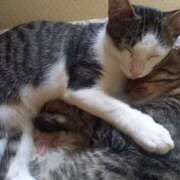 ヒメ日記 2025/08/22 13:01 投稿 篠原 MadameRest(マダムレスト)