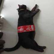 ヒメ日記 2025/08/22 16:19 投稿 篠原 MadameRest(マダムレスト)