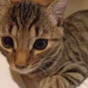 ヒメ日記 2025/08/23 05:09 投稿 篠原 MadameRest(マダムレスト)