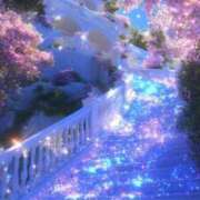 ヒメ日記 2025/08/24 02:47 投稿 篠原 MadameRest(マダムレスト)