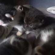 ヒメ日記 2025/08/24 07:57 投稿 篠原 MadameRest(マダムレスト)