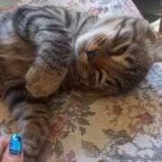 ヒメ日記 2025/08/24 14:50 投稿 篠原 MadameRest(マダムレスト)