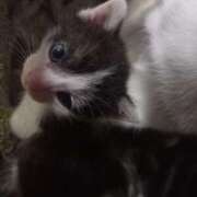 ヒメ日記 2025/08/25 02:15 投稿 篠原 MadameRest(マダムレスト)