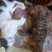 ヒメ日記 2025/08/25 12:18 投稿 篠原 MadameRest(マダムレスト)