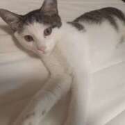 ヒメ日記 2025/08/26 07:38 投稿 篠原 MadameRest(マダムレスト)