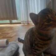 ヒメ日記 2025/08/26 12:32 投稿 篠原 MadameRest(マダムレスト)