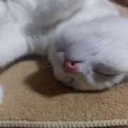 ヒメ日記 2025/08/27 11:19 投稿 篠原 MadameRest(マダムレスト)