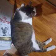 ヒメ日記 2025/08/27 23:58 投稿 篠原 MadameRest(マダムレスト)