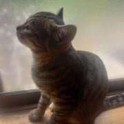 ヒメ日記 2025/08/28 15:23 投稿 篠原 MadameRest(マダムレスト)