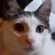 ヒメ日記 2025/08/29 07:01 投稿 篠原 MadameRest(マダムレスト)