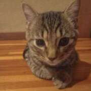 ヒメ日記 2025/08/30 04:05 投稿 篠原 MadameRest(マダムレスト)