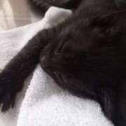 ヒメ日記 2025/08/30 07:13 投稿 篠原 MadameRest(マダムレスト)