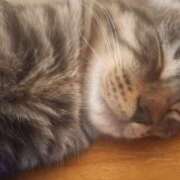 ヒメ日記 2025/08/30 12:49 投稿 篠原 MadameRest(マダムレスト)