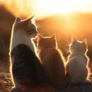 ヒメ日記 2025/08/30 16:09 投稿 篠原 MadameRest(マダムレスト)