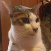 ヒメ日記 2025/08/31 03:36 投稿 篠原 MadameRest(マダムレスト)